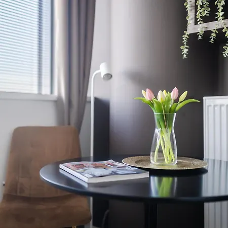 Ans Hanza Tower No 428 - Swimming Pool, Sauna, Jacuzzi, Viewing Terrace